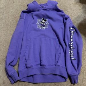 Disneyland 100th anniversary hoodie